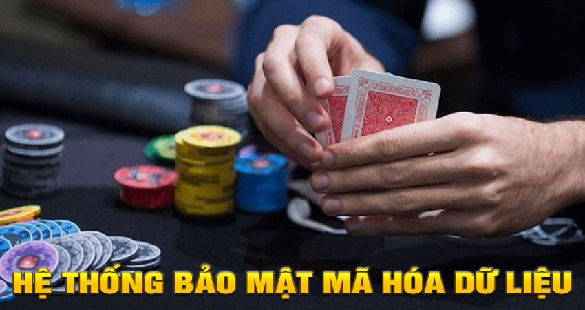 Hệ thống bảo mật mã hóa dữ liệu chuẩn AES 256-bit hiện đại
