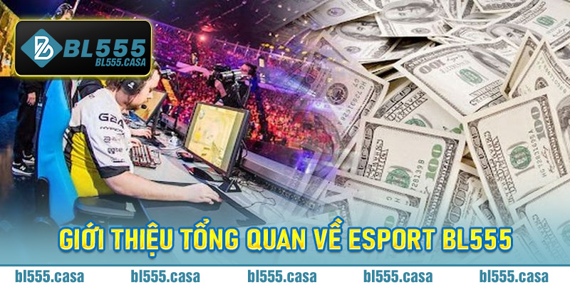 Giới Thiệu Tổng Quan Về Esport Bl555